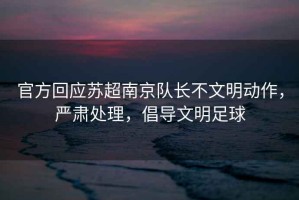 官方回應(yīng)蘇超南京隊長不文明動作，嚴(yán)肅處理，倡導(dǎo)文明足球