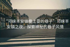 “邛崍羊安鎮(zhèn)晚上耍的巷子”邛崍羊安鎮(zhèn)之夜，探索神秘的巷子風情