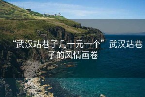 “武漢站巷子幾十元一個(gè)”武漢站巷子的風(fēng)情畫卷