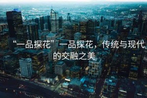“一品探花”一品探花，傳統(tǒng)與現(xiàn)代的交融之美