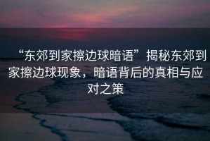 “東郊到家擦邊球暗語”揭秘東郊到家擦邊球現(xiàn)象，暗語背后的真相與應(yīng)對(duì)之策