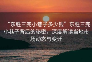 “東勝三完小巷子多少錢”東勝三完小巷子背后的秘密，深度解讀當?shù)厥袌鰟討B(tài)與變遷