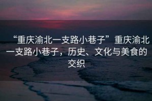 “重慶渝北一支路小巷子”重慶渝北一支路小巷子，歷史、文化與美食的交織