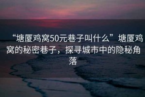 “塘廈雞窩50元巷子叫什么”塘廈雞窩的秘密巷子，探尋城市中的隱秘角落