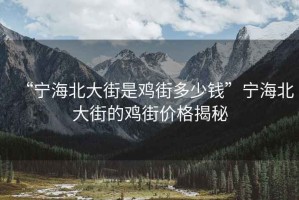 “寧海北大街是雞街多少錢”寧海北大街的雞街價格揭秘