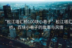 “松江塔匯橋100塊小巷子”松江塔匯橋，百塊小巷子的故事與風(fēng)情