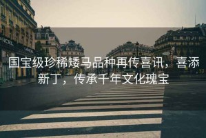 國(guó)寶級(jí)珍稀矮馬品種再傳喜訊，喜添新丁，傳承千年文化瑰寶