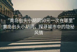 “黃島臺頭小胡同50元一次在哪里”黃島臺頭小胡同，探尋城市中的隱秘風(fēng)情