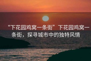 “下花園雞窩一條街”下花園雞窩一條街，探尋城市中的獨特風情