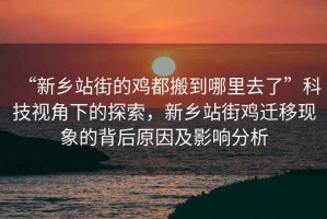 “新鄉(xiāng)站街的雞都搬到哪里去了”科技視角下的探索，新鄉(xiāng)站街雞遷移現(xiàn)象的背后原因及影響分析