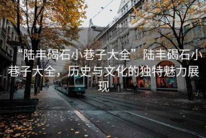 “陸豐碣石小巷子大全”陸豐碣石小巷子大全，歷史與文化的獨特魅力展現(xiàn)