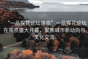 “一品探花論壇南京”一品探花論壇在南京盛大開幕，聚焦城市新動向與文化交流