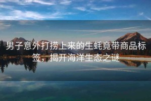 男子意外打撈上來(lái)的生蠔竟帶商品標(biāo)簽，揭開(kāi)海洋生態(tài)之謎