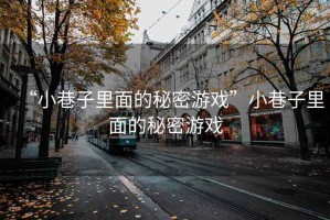 “小巷子里面的秘密游戲”小巷子里面的秘密游戲