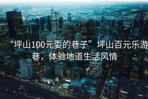 “坪山100元耍的巷子”坪山百元樂游巷，體驗(yàn)地道生活風(fēng)情