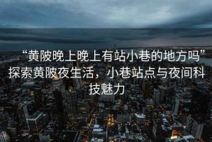 “黃陂晚上晚上有站小巷的地方嗎”探索黃陂夜生活，小巷站點(diǎn)與夜間科技魅力