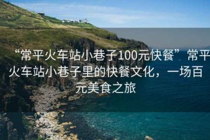 “常平火車站小巷子100元快餐”常平火車站小巷子里的快餐文化，一場(chǎng)百元美食之旅