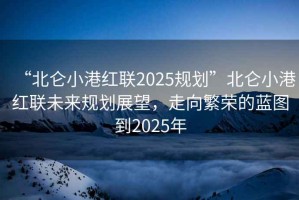 “北侖小港紅聯(lián)2025規(guī)劃”北侖小港紅聯(lián)未來規(guī)劃展望，走向繁榮的藍(lán)圖到2025年