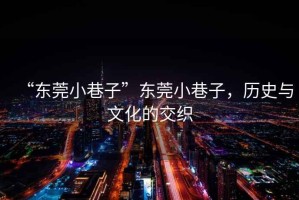 “東莞小巷子”東莞小巷子，歷史與文化的交織