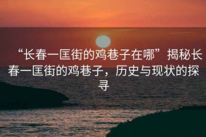 “長春一匡街的雞巷子在哪”揭秘長春一匡街的雞巷子，歷史與現(xiàn)狀的探尋