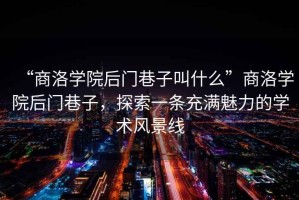 “商洛學(xué)院后門巷子叫什么”商洛學(xué)院后門巷子，探索一條充滿魅力的學(xué)術(shù)風(fēng)景線