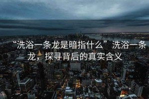 “洗浴一條龍是暗指什么”洗浴一條龍，探尋背后的真實含義