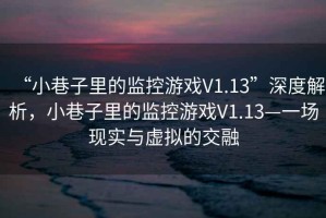 “小巷子里的監(jiān)控游戲V1.13”深度解析，小巷子里的監(jiān)控游戲V1.13—一場(chǎng)現(xiàn)實(shí)與虛擬的交融