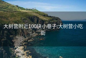 大樹營附近100塊小巷子:大樹營小吃街