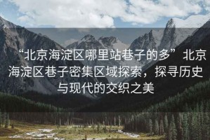 “北京海淀區(qū)哪里站巷子的多”北京海淀區(qū)巷子密集區(qū)域探索，探尋歷史與現代的交織之美