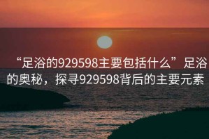 “足浴的929598主要包括什么”足浴的奧秘，探尋929598背后的主要元素