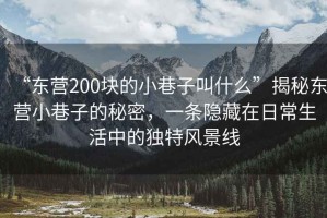 “東營200塊的小巷子叫什么”揭秘東營小巷子的秘密，一條隱藏在日常生活中的獨特風(fēng)景線