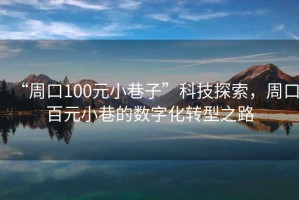 “周口100元小巷子”科技探索，周口百元小巷的數(shù)字化轉(zhuǎn)型之路