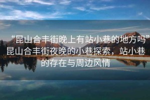 “昆山合豐街晚上有站小巷的地方嗎”昆山合豐街夜晚的小巷探索，站小巷的存在與周邊風(fēng)情