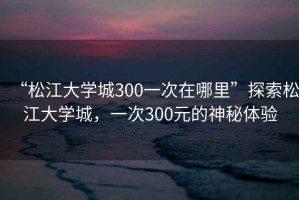 “松江大學城300一次在哪里”探索松江大學城，一次300元的神秘體驗