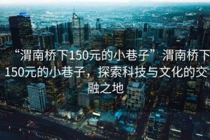 “渭南橋下150元的小巷子”渭南橋下150元的小巷子，探索科技與文化的交融之地