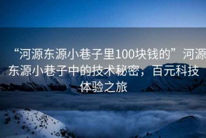 “河源東源小巷子里100塊錢的”河源東源小巷子中的技術(shù)秘密，百元科技體驗(yàn)之旅