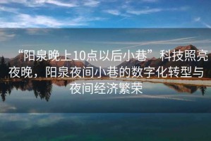 “陽泉晚上10點(diǎn)以后小巷”科技照亮夜晚，陽泉夜間小巷的數(shù)字化轉(zhuǎn)型與夜間經(jīng)濟(jì)繁榮
