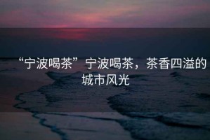 “寧波喝茶”寧波喝茶，茶香四溢的城市風(fēng)光
