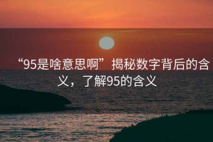 “95是啥意思啊”揭秘數(shù)字背后的含義，了解95的含義