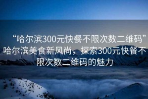 “哈爾濱300元快餐不限次數(shù)二維碼”哈爾濱美食新風(fēng)尚，探索300元快餐不限次數(shù)二維碼的魅力