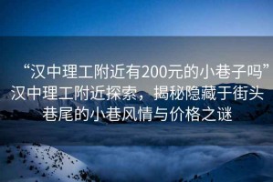 “漢中理工附近有200元的小巷子嗎”漢中理工附近探索，揭秘隱藏于街頭巷尾的小巷風(fēng)情與價格之謎