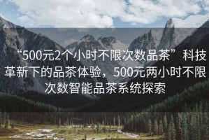 “500元2個小時不限次數品茶”科技革新下的品茶體驗，500元兩小時不限次數智能品茶系統探索