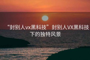 “封別人vx黑科技”封別人VX黑科技下的獨特風(fēng)景