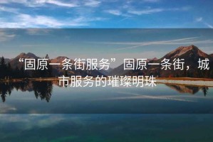 “固原一條街服務”固原一條街，城市服務的璀璨明珠