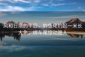 風(fēng)和日麗的午后，釣魚佬釣起一米長(zhǎng)大魚，綁車尾驚動(dòng)路人