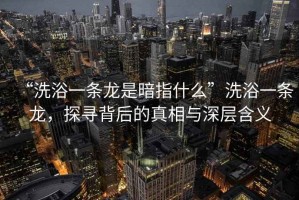 “洗浴一條龍是暗指什么”洗浴一條龍，探尋背后的真相與深層含義