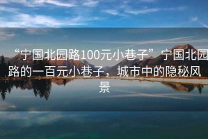 “寧國北園路100元小巷子”寧國北園路的一百元小巷子，城市中的隱秘風(fēng)景
