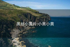 黑絲小黃片:小黑小黃