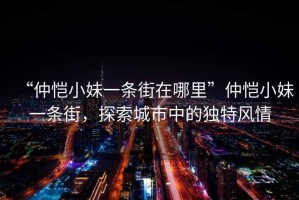 “仲愷小妹一條街在哪里”仲愷小妹一條街，探索城市中的獨(dú)特風(fēng)情