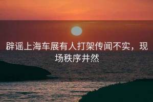 辟謠上海車展有人打架傳聞不實(shí)，現(xiàn)場秩序井然
